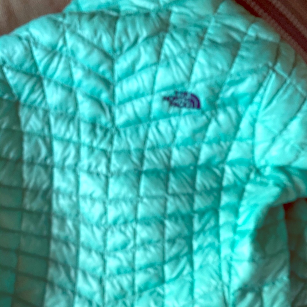 The North Face women’s green size Large